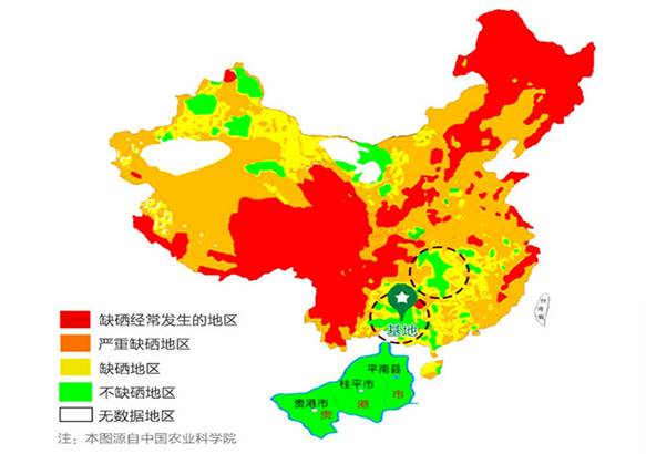 九九邦稻有什么不同   24小时直达,营养100%   全国富硒土地分布图