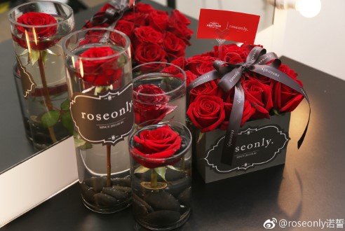 roseonly-junkai.jpg