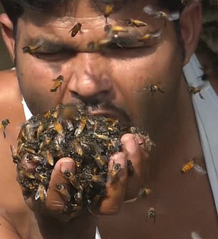 印度蜂灾电影图片